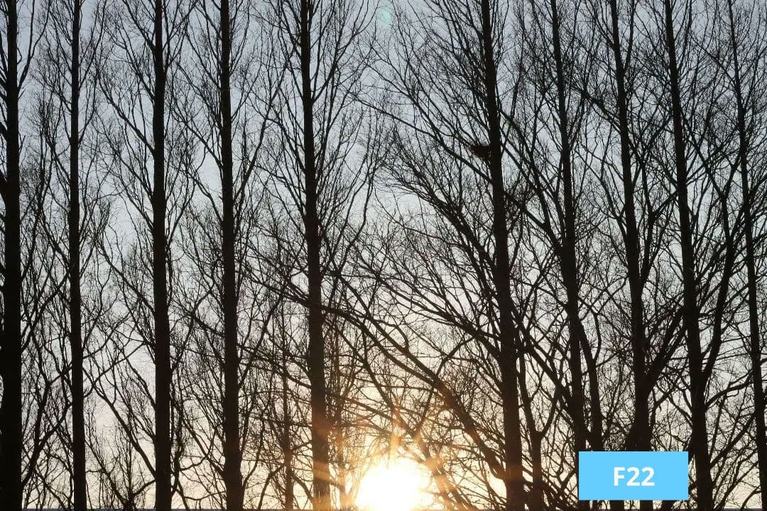 Canon EOS Kiss X50 レッド ef50mm f/1.8stm