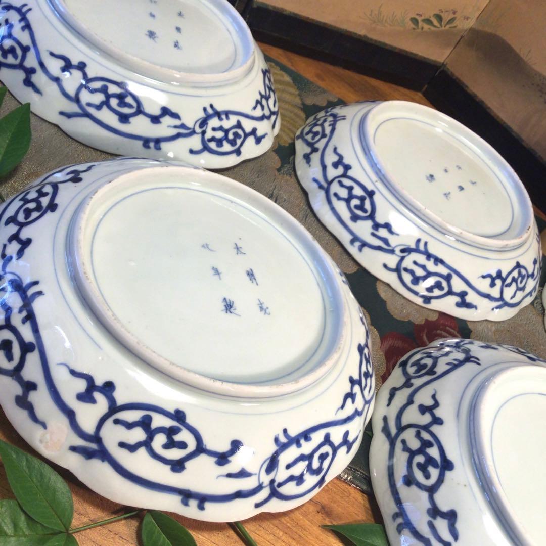 A781 古伊万里　上手　微塵唐草紋様　輪花型　7寸皿　5枚