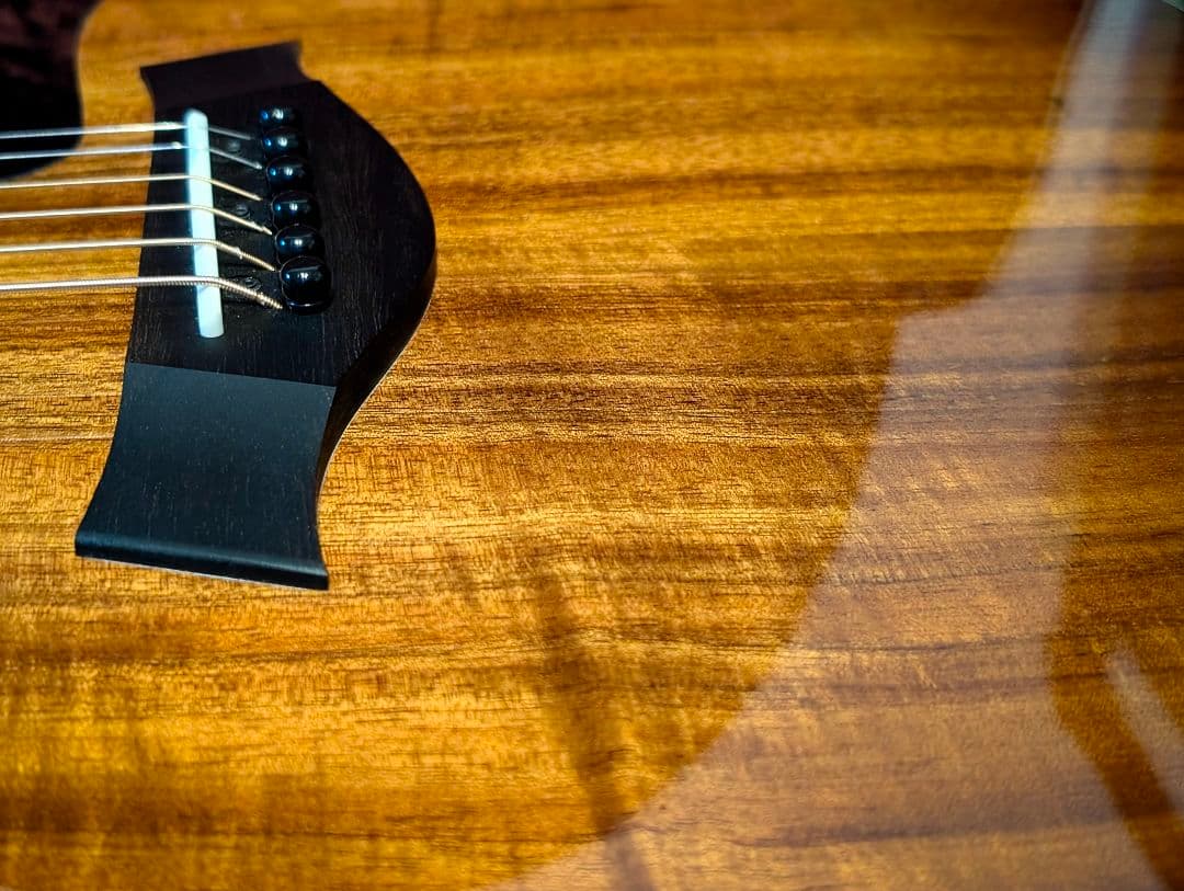 【最終価格】Taylor/224ce-K DLX エレアコ