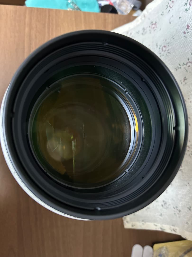 【なお-R】CANON EF300mm 1:2.8 L IS USM