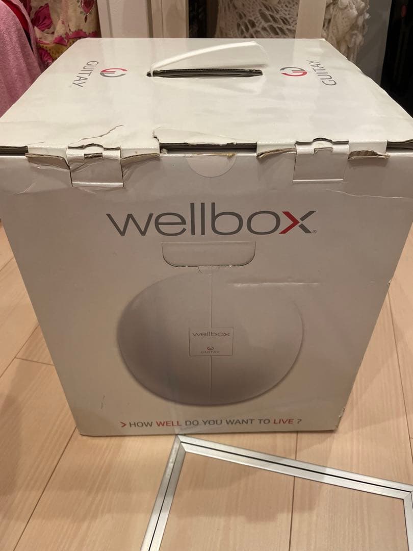 LPG wellbox GUITTAY 美容家電 ホワイト