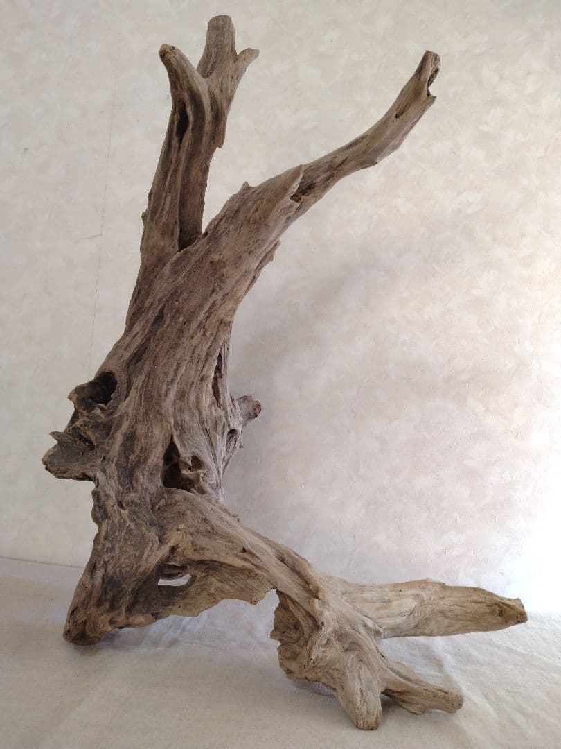【希少】アクアリウム・ガーデニング・DIY向け 特大塊根ホーンウッド 70cm