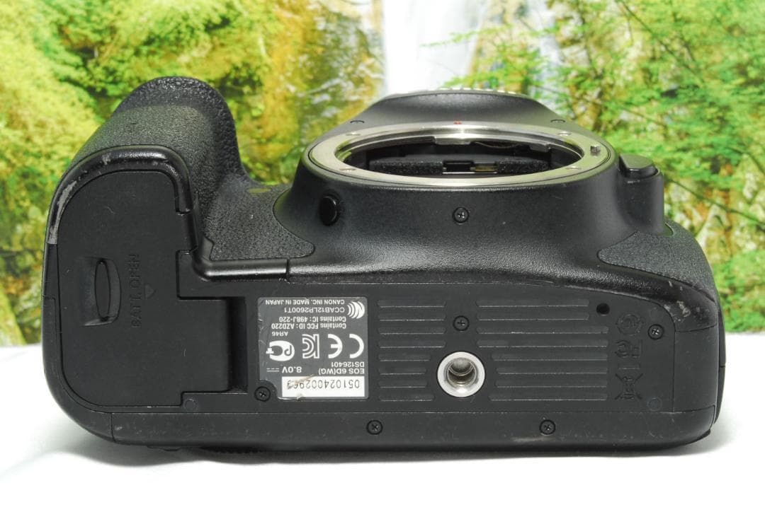 ✨月明りの暗闇でも撮影ができる✨Canon EOS 6D✨フルサイズ機✨動画OK