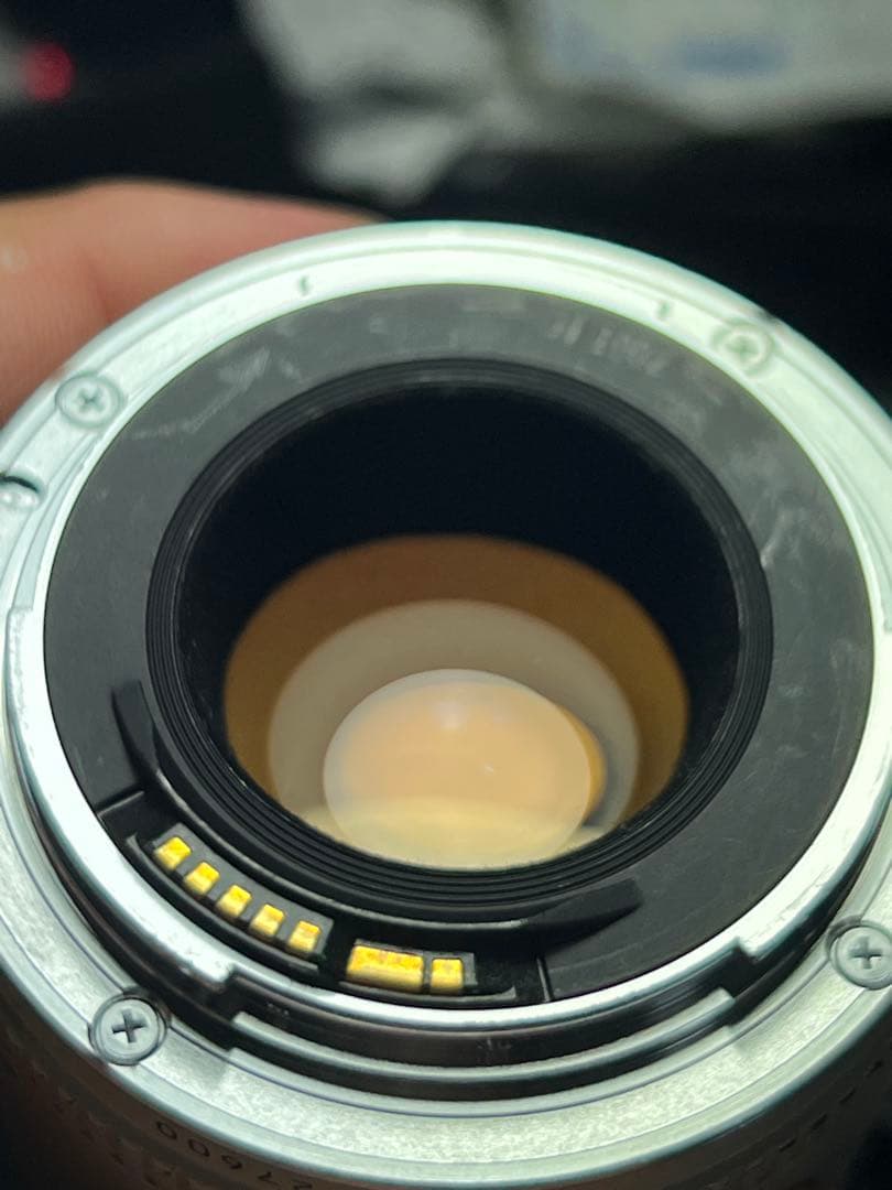 【組合せ最大400mm!】 EF 70-200mm と EXTENDER 2X