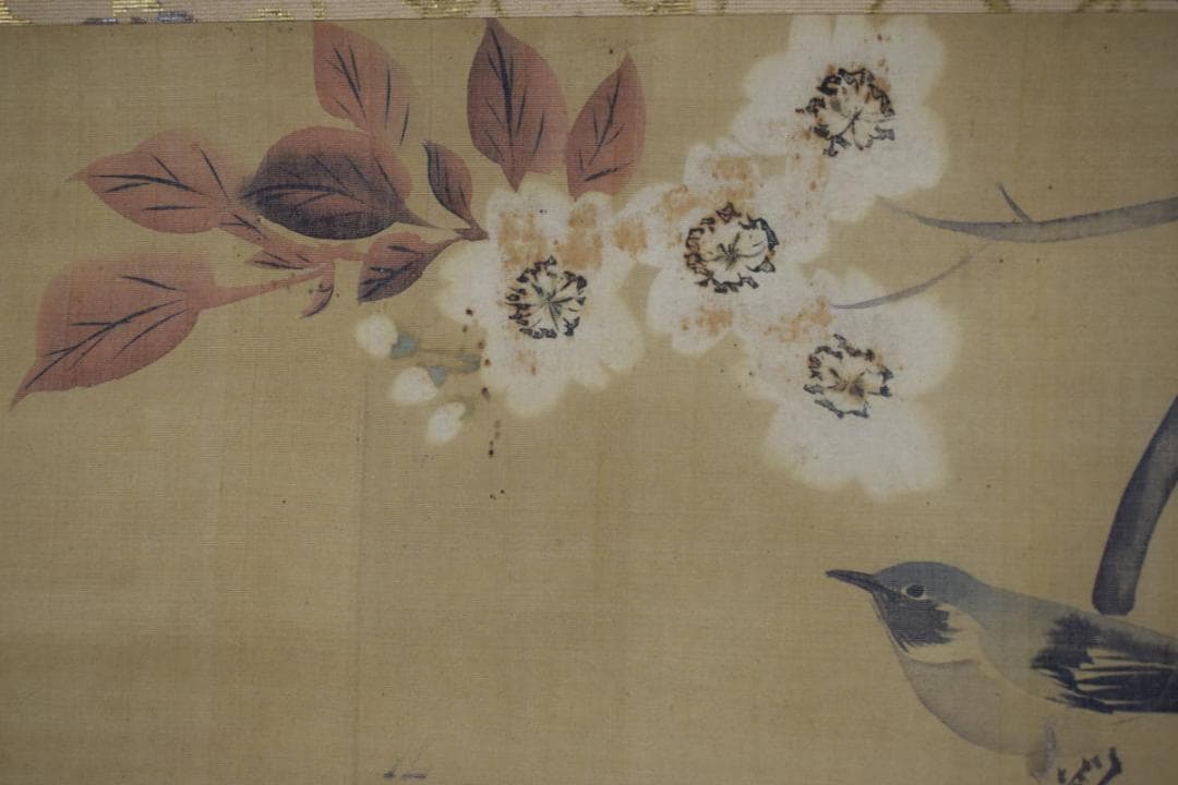 酒井抱一/山桜小禽図/桜に小鳥図/大横物/掛軸☆宝船☆Y-747　JM