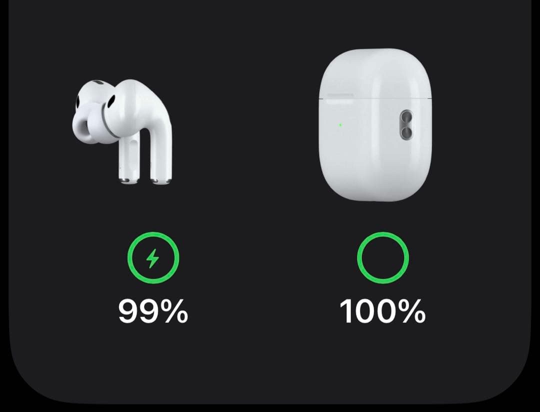 【USB-C/2024】AirPod Pro 第2世代 A3048 PITAKA