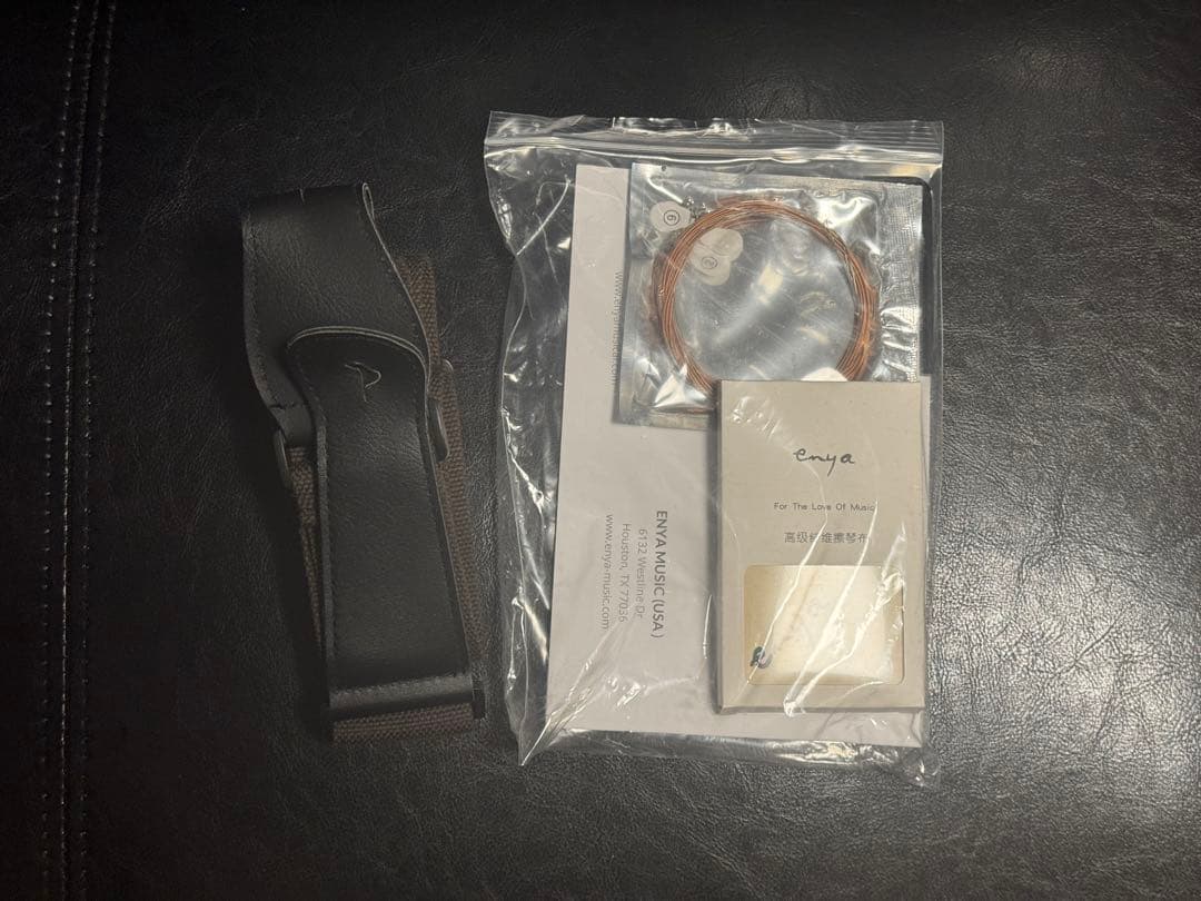 [8/15まで値下げ]enya カーボン製アコースティックギター