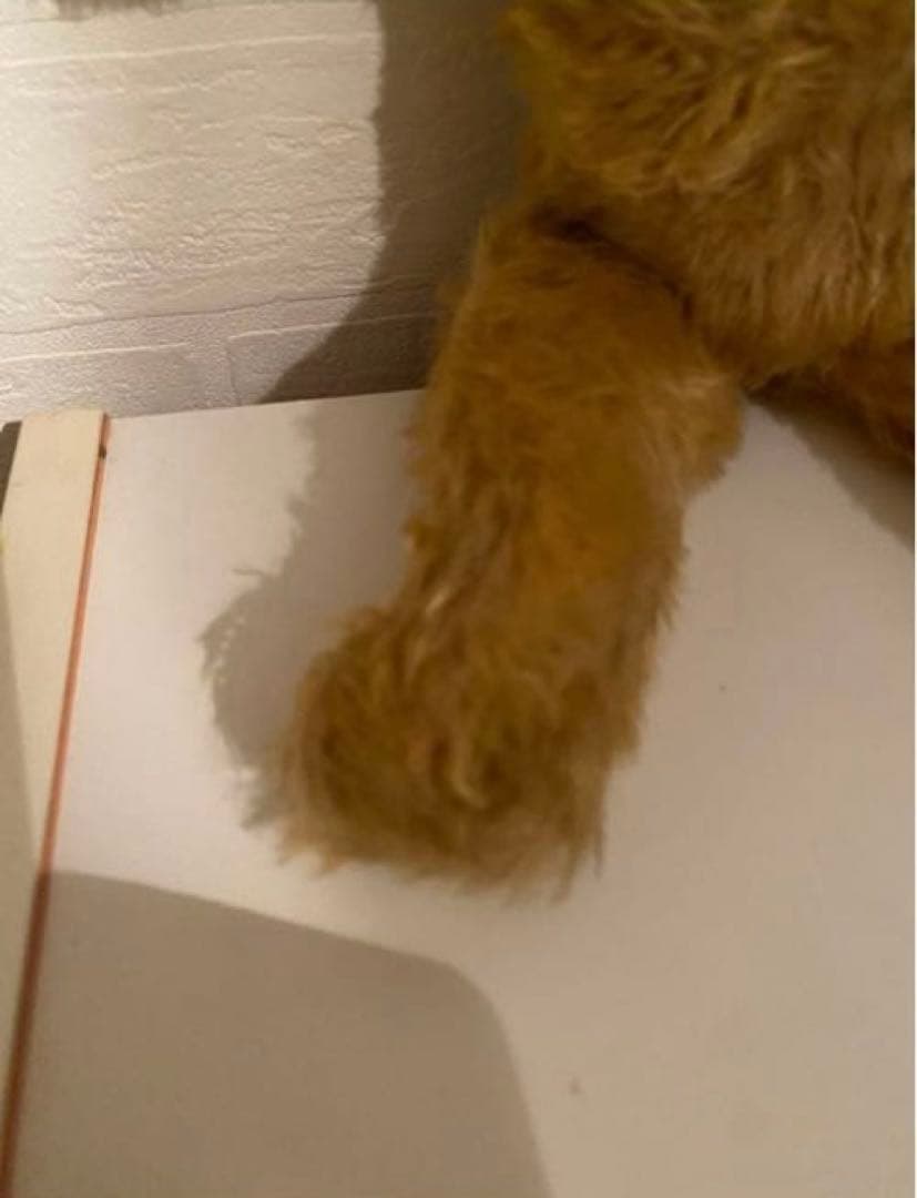 【希少】アンティークテディベア 1930年～1940年頃