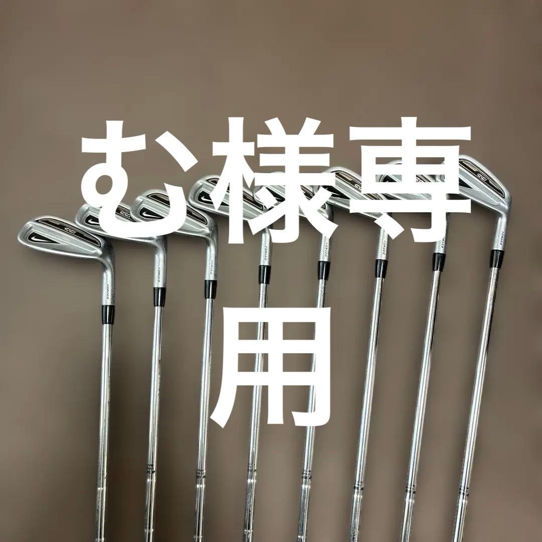 NIKE CCi フォージド アイアンセット 8本 DG S300