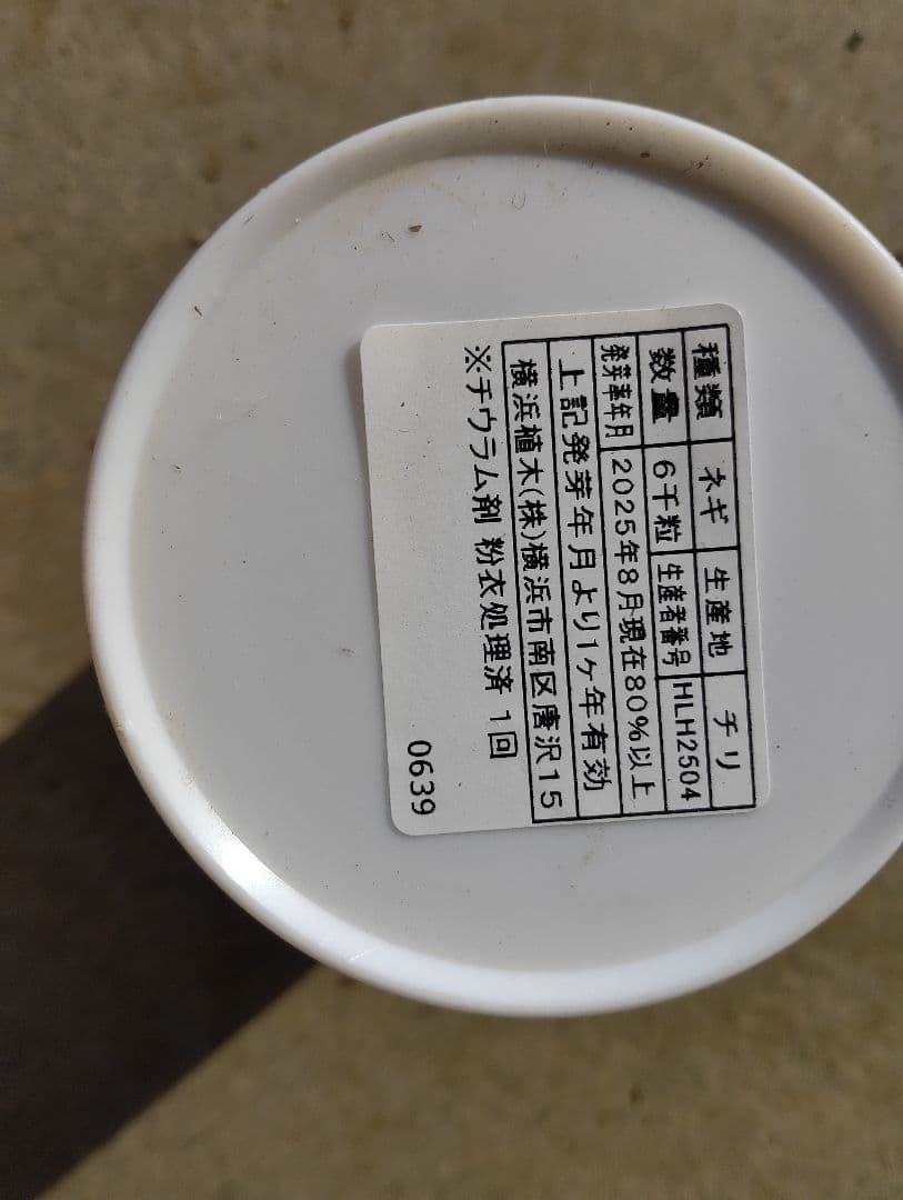 ネギの種　龍のぼり14個