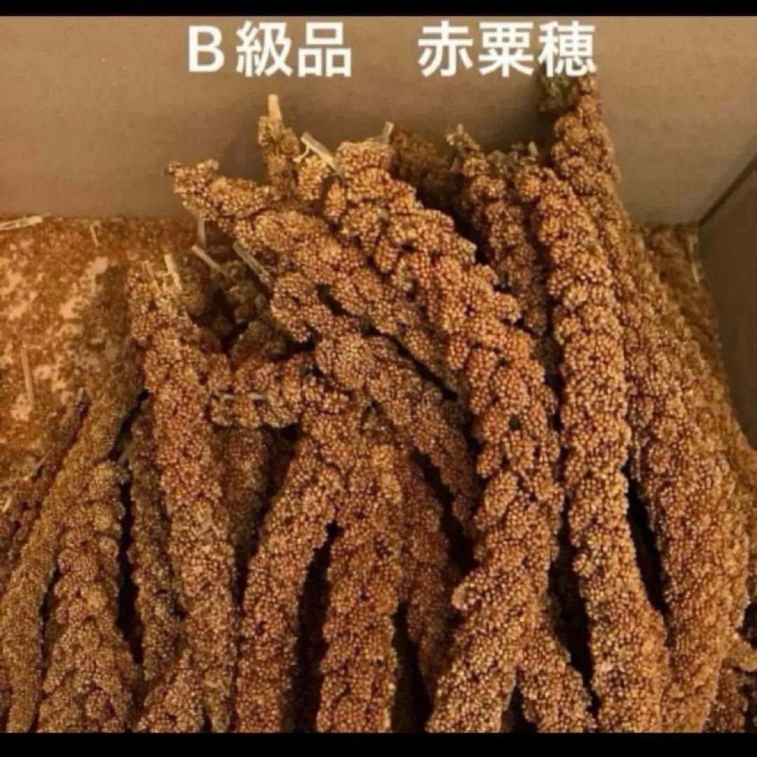 みらくるさま専用