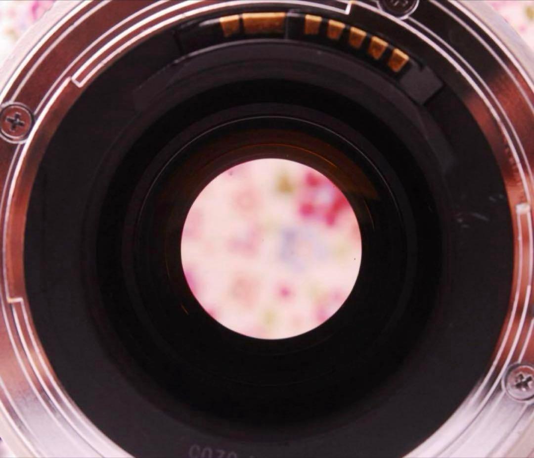 【光学美品】CANON EF 35-350mm 望遠ズームレンズ