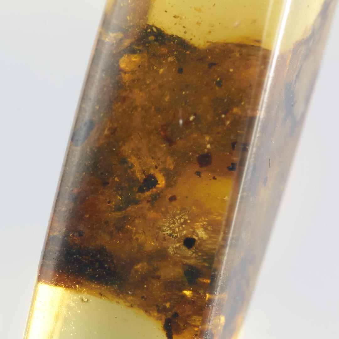 レア極上品 PA166虫入り琥珀化石　ミャンマーカムティかタナイ9900万年前