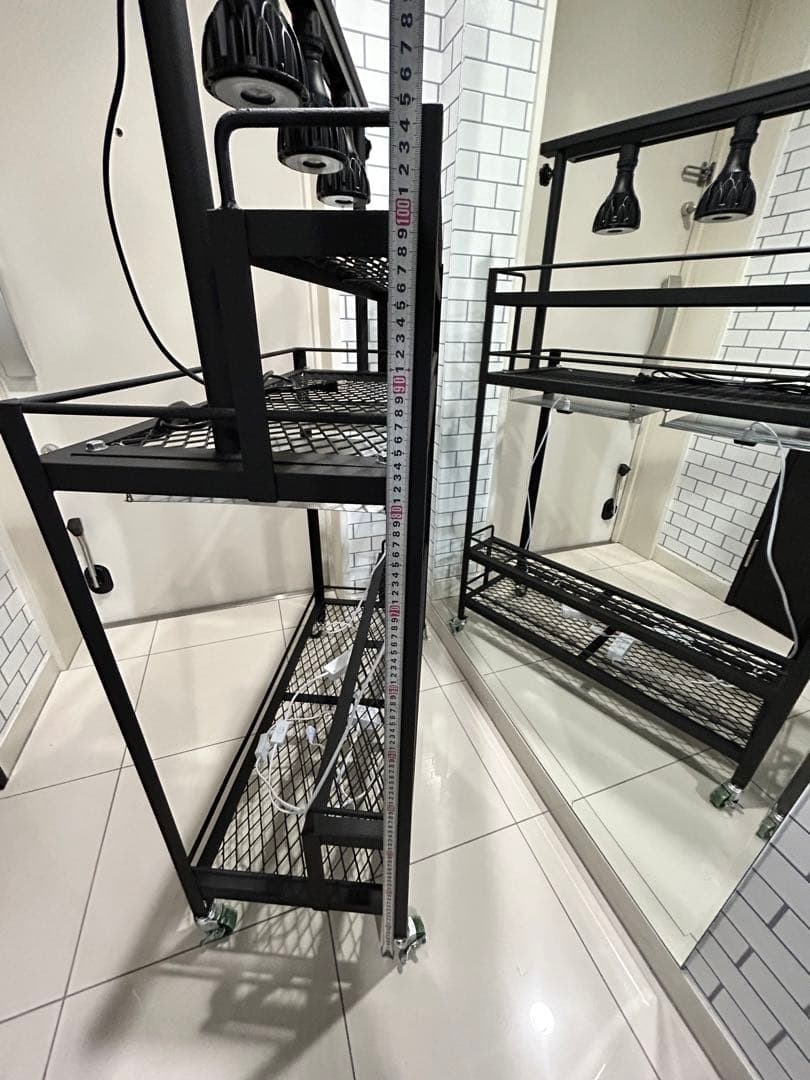 キャスター付植物棚　アイアン棚　パキプス　アイアンシェルフ　アガベ　育成ライト