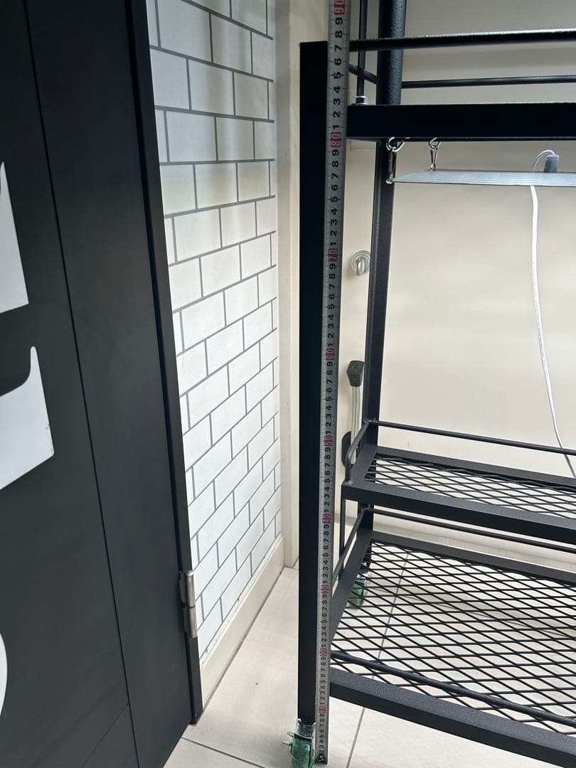 キャスター付植物棚　アイアン棚　パキプス　アイアンシェルフ　アガベ　育成ライト