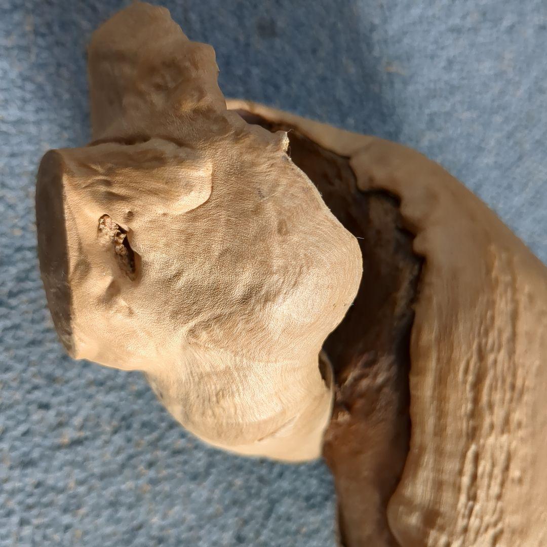 天然木 自然造形 蛇形希少 螺旋状 ねじれ木株 アート作品 高さ約61cm