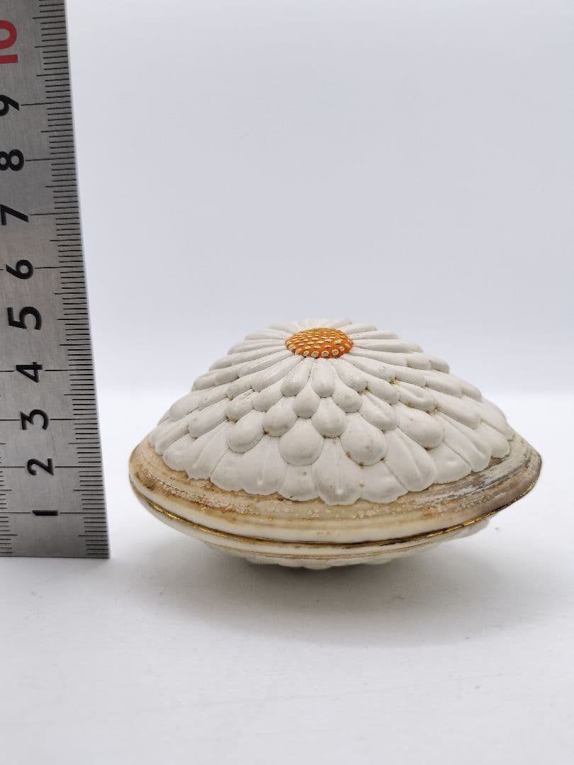 c453 貝香合 置上蛤 有職　島津豊泉 木箱 茶道具 古物