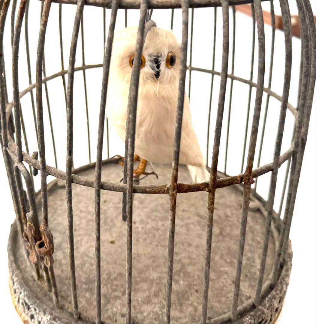 アンティーク鳥カゴオブジェ フクロウオブジェ付 undercover
