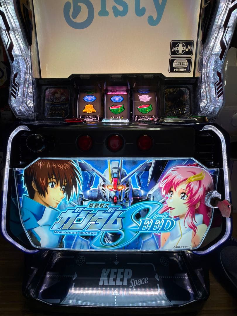 【gynkd368さん専用】引き取り限定 ガンダムSEED実機