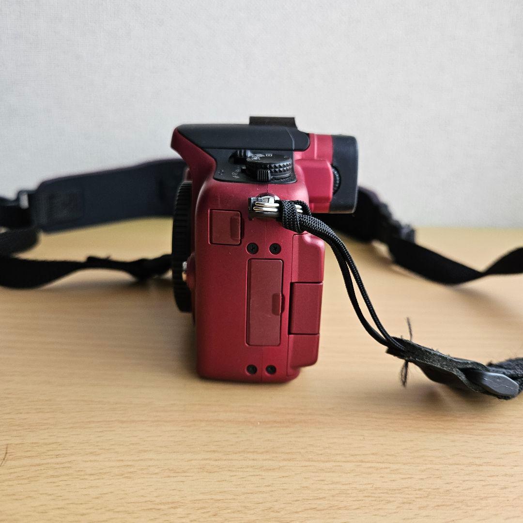 Panasonic ミラーレス一眼カメラ LUMIX　DMC-G2