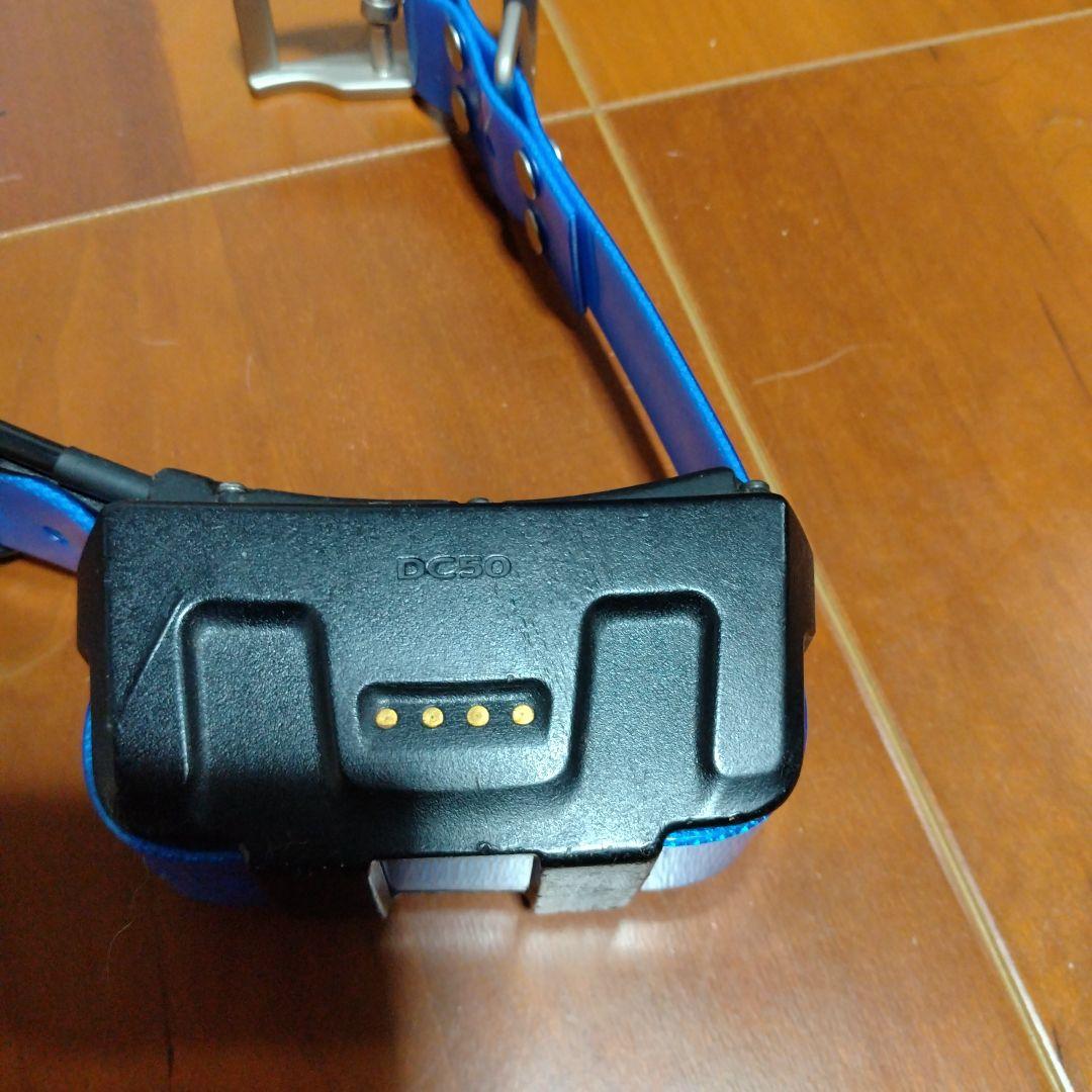 GARMIN ASTRO DC50首輪（中古品）