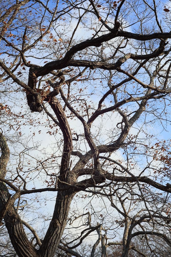 MC HELIOS-44M-6 58mm F2 《Valdai製》【美品】