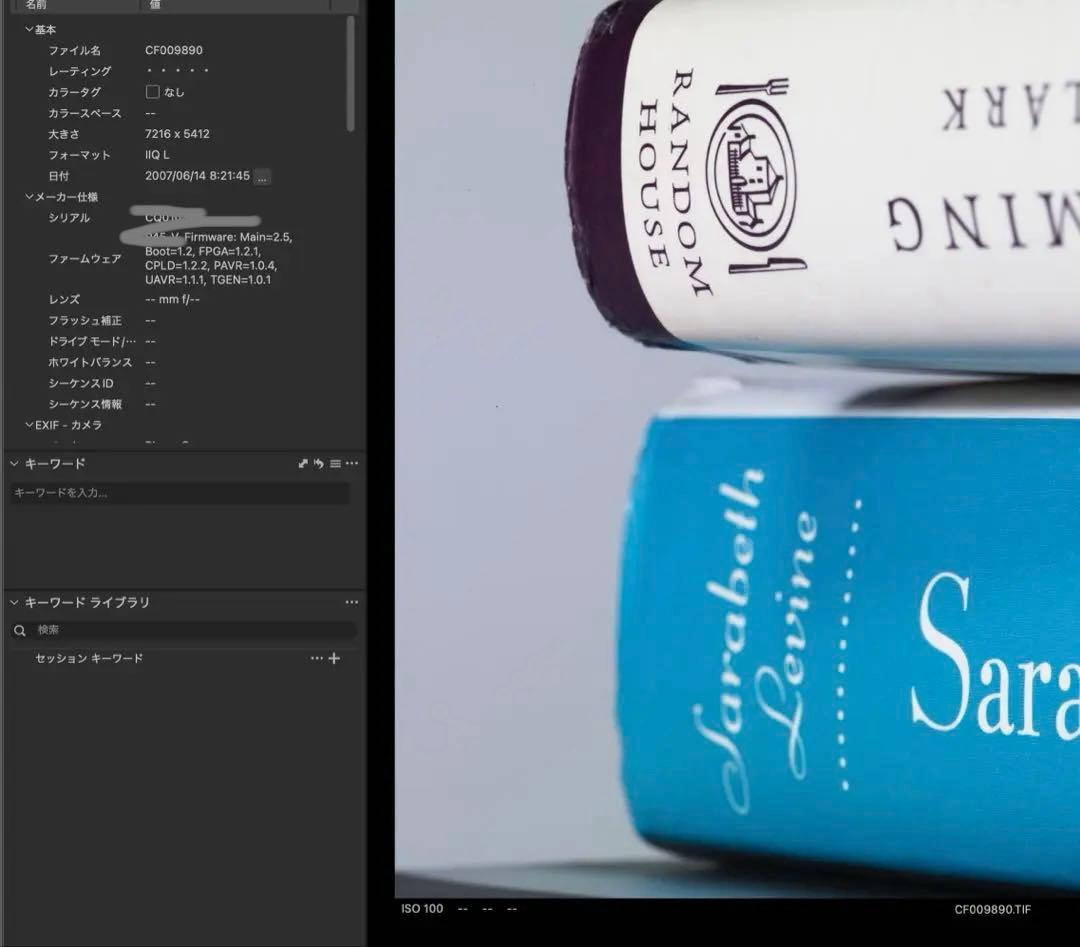 Phase One P45 Vマウント　中判デジタルカメラバック