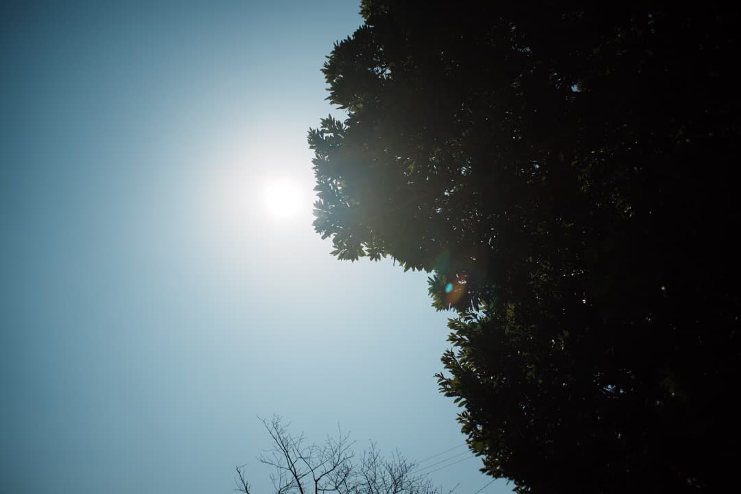 【希少・極美品】動作◎ SMC Takumar 24mm F3.5 961