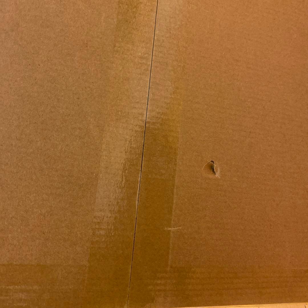 【未開封】バルミューダ　BALMUDA The Plate Pro