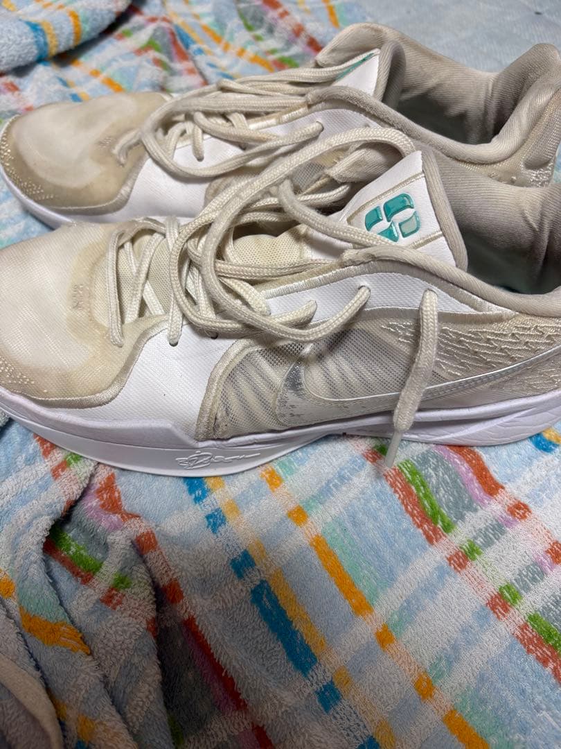 バスケットボール シューズ まとめ売り