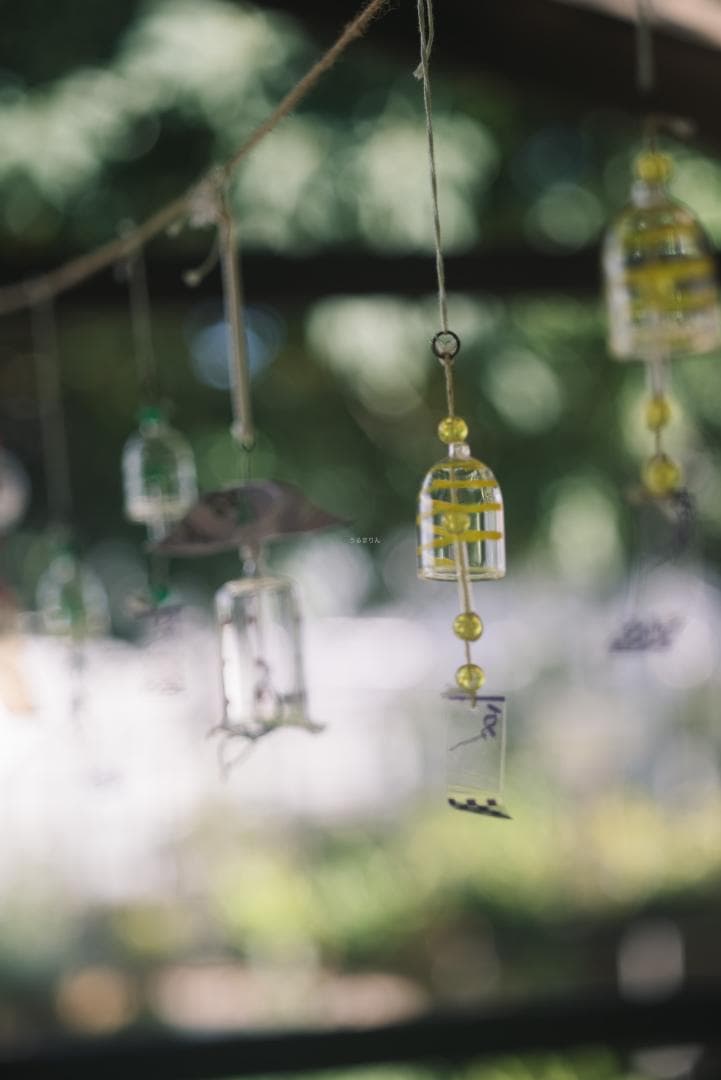 虹が出る！沈胴の巨人！Leica Elmar M 90mm F4 沈胴