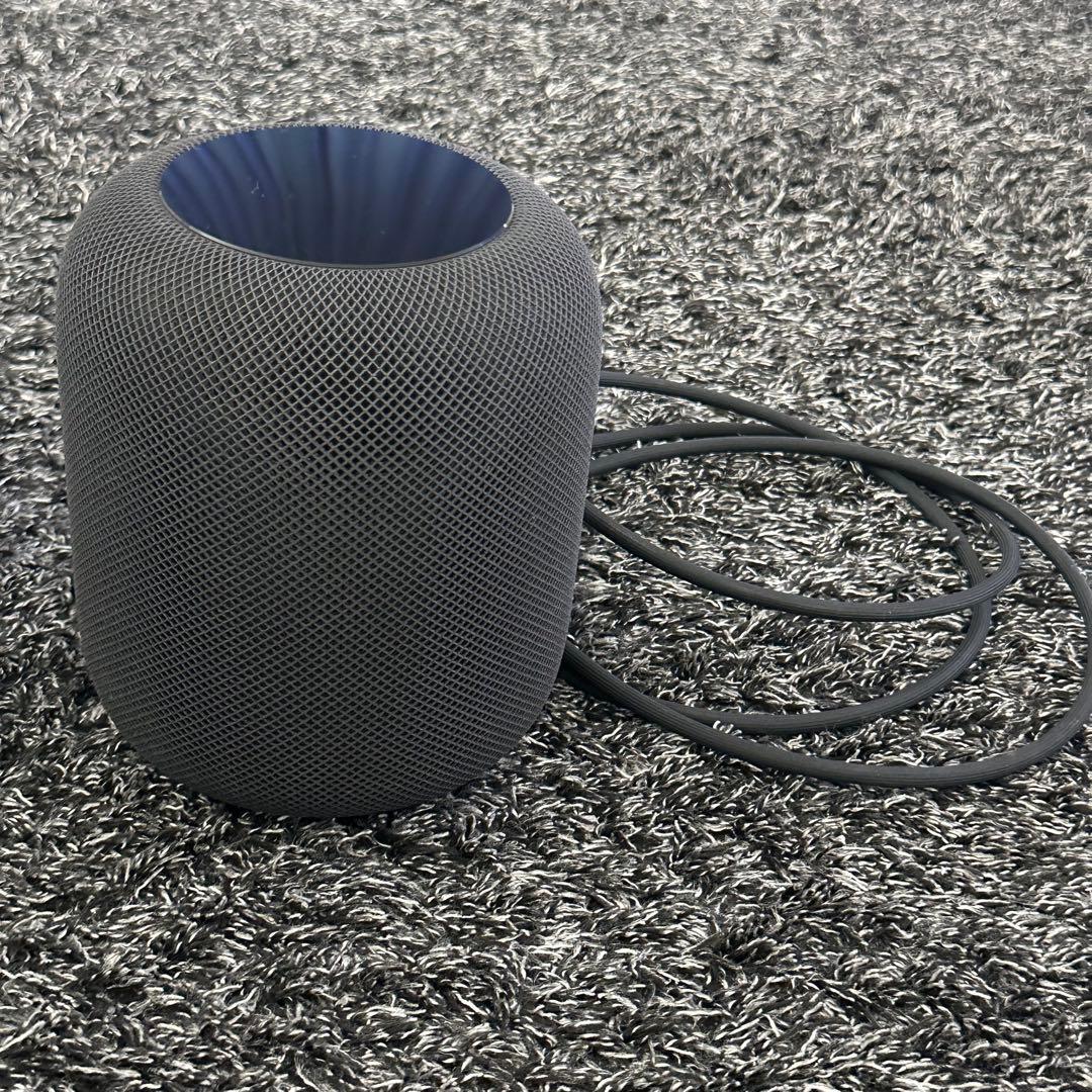 Pod 第1世代 スペースグレー MQHW2J/A