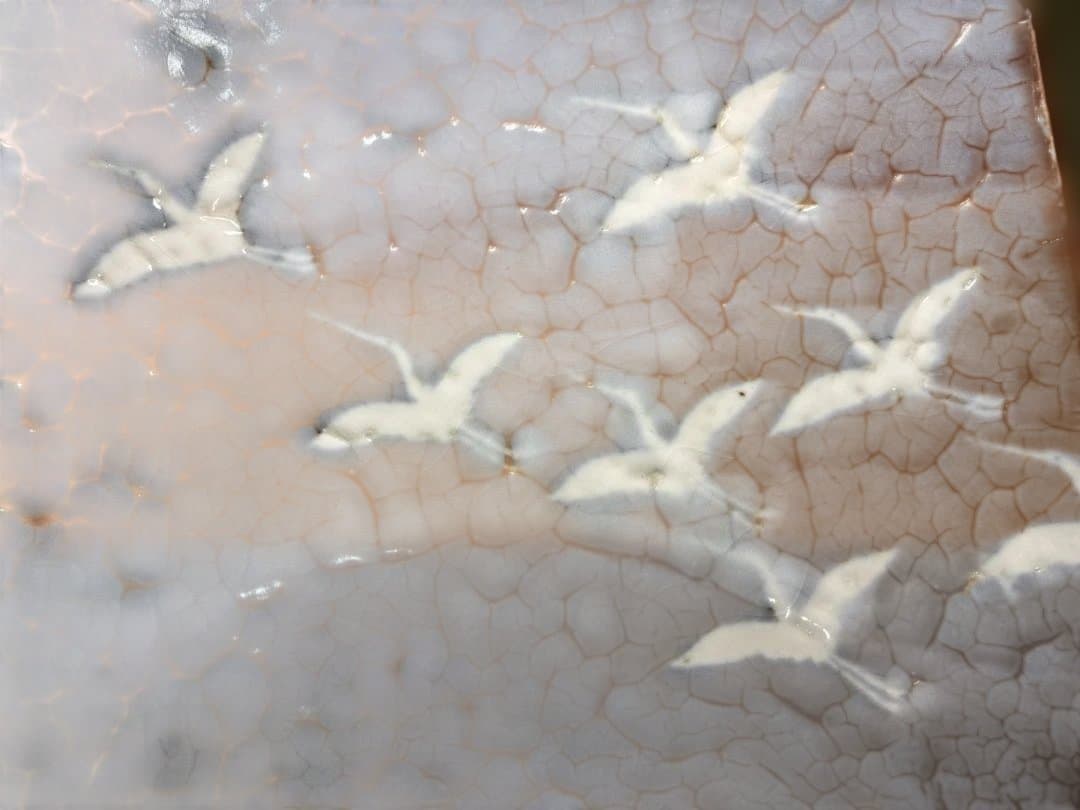 未使用 四方皿 志野 佐藤康元 貫入