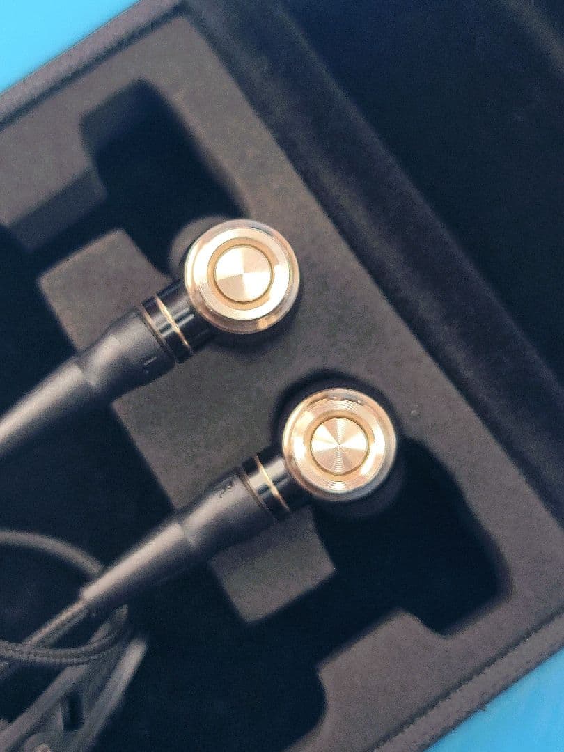 イヤホン JVC HA-FX1100 WOOD UNIT and HOUSING.