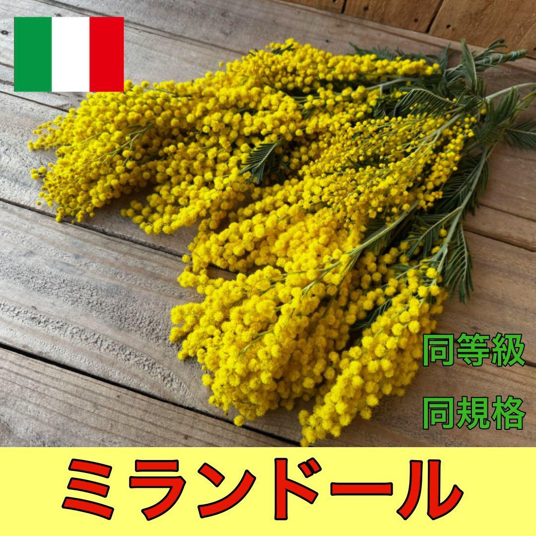 cutemio様 リクエスト 4点 まとめ商品