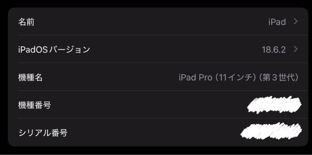 iPad Pro 11インチ 第三世代 256GB スペースグレイ