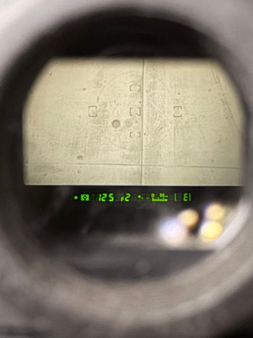 Nikon F100 一眼レフカメラ ストラップ付き