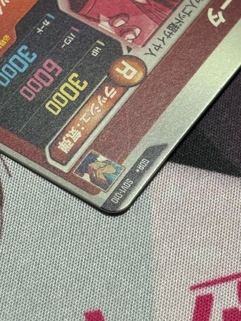 か*！様 SDV1-010 パラレル