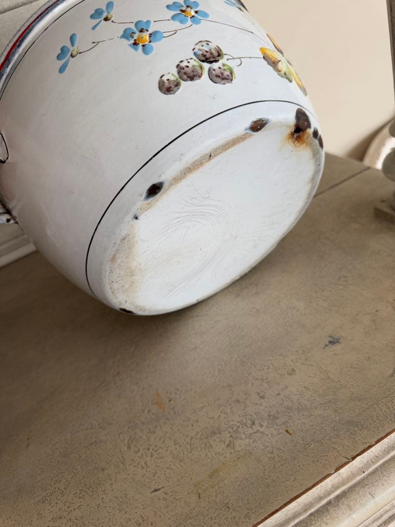 フランスアンティークJapy社小鳥とベリーのホーロースーピエールチューリーン