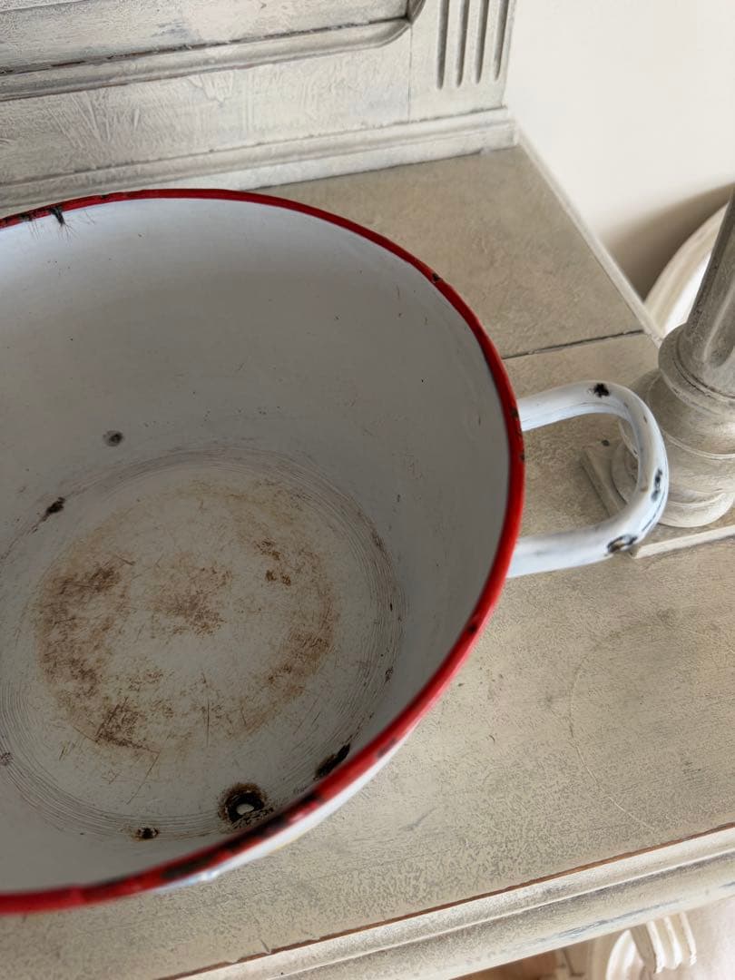 フランスアンティークJapy社小鳥とベリーのホーロースーピエールチューリーン