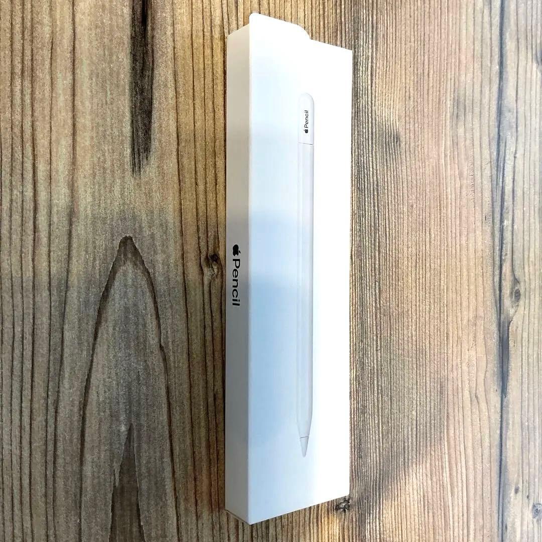 iPadアクセサリー Apple Pencil USB-C