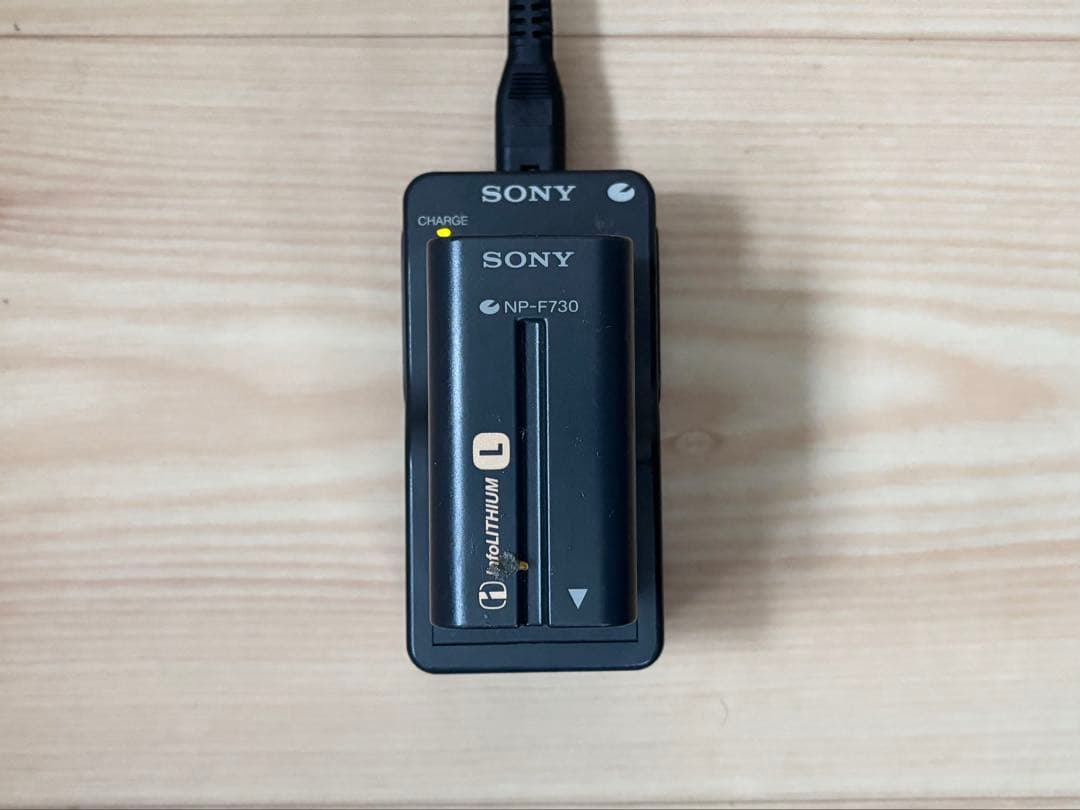 Sony DCR-VX1000 Handycam デジタルビデオカメラ