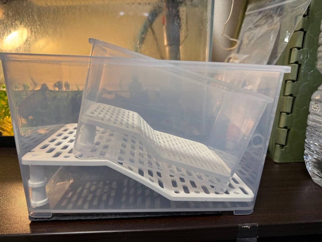 カメ専用飼育ケース　5個セット　中サイズ