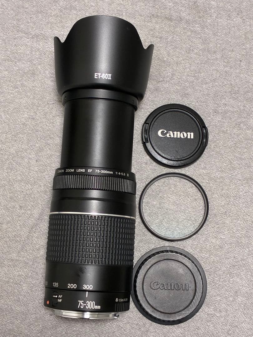 ⭐️新品フード付⭐️ Canon EF 75-300mm F4-5.6 III 望遠