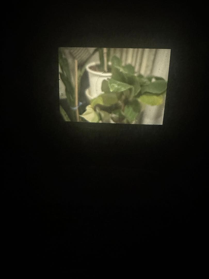 美品 Nikon F KOGAKUTOKYONIPPON 50mm f2レンズ