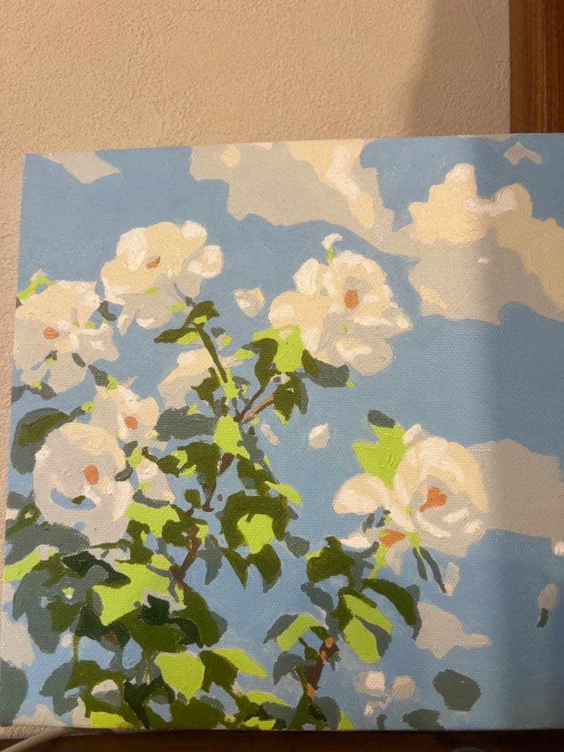 Apple iPhone 13 Pro Max 256GB （カメラ少し破損）