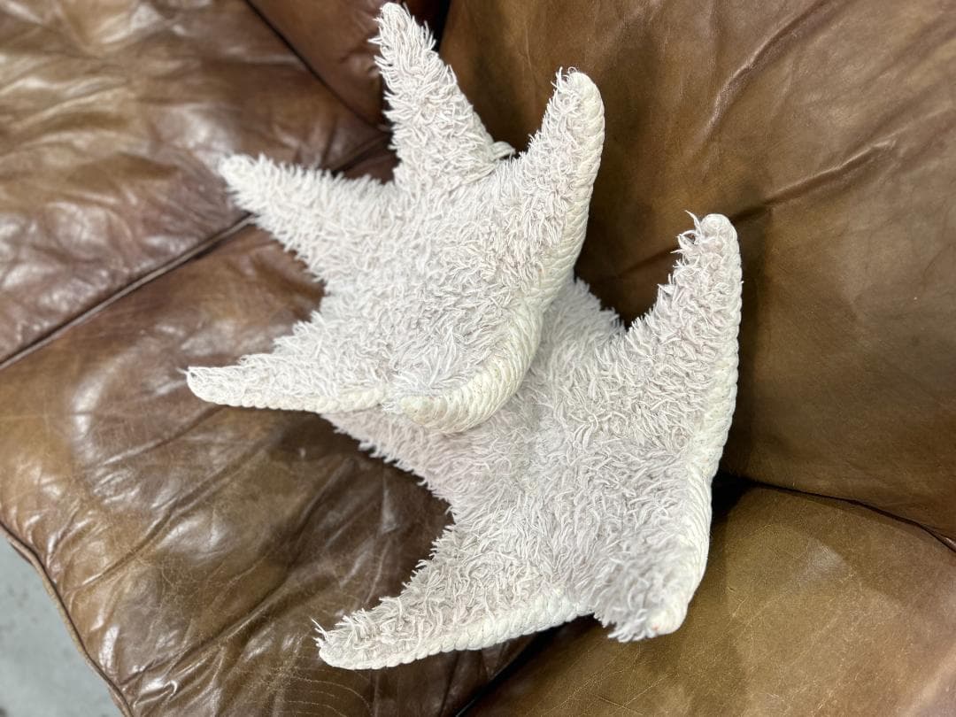 【セット】Ron Herman / ロンハーマン　BigStuffed　ヒトデ