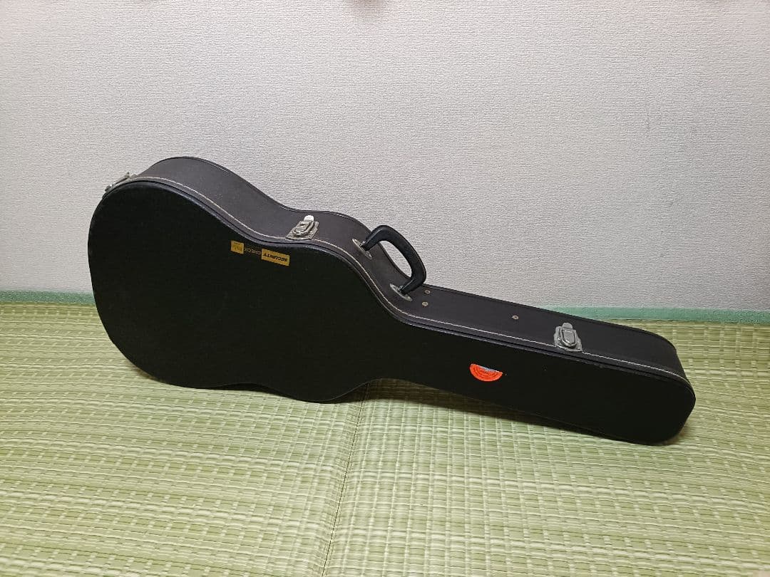 GRASS LANDリゾネーターギター ハードケース付