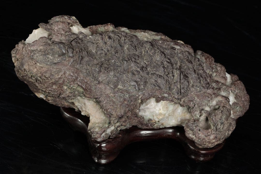 貴船石 蛙石 台座 箱付 642g カエル水石 鑑賞石 京石 天然石 飾石 美石