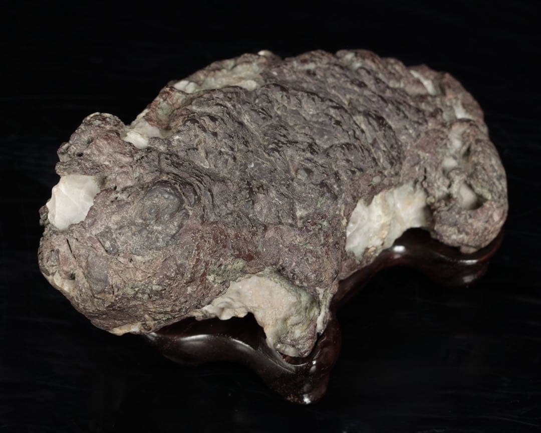 貴船石 蛙石 台座 箱付 642g カエル水石 鑑賞石 京石 天然石 飾石 美石